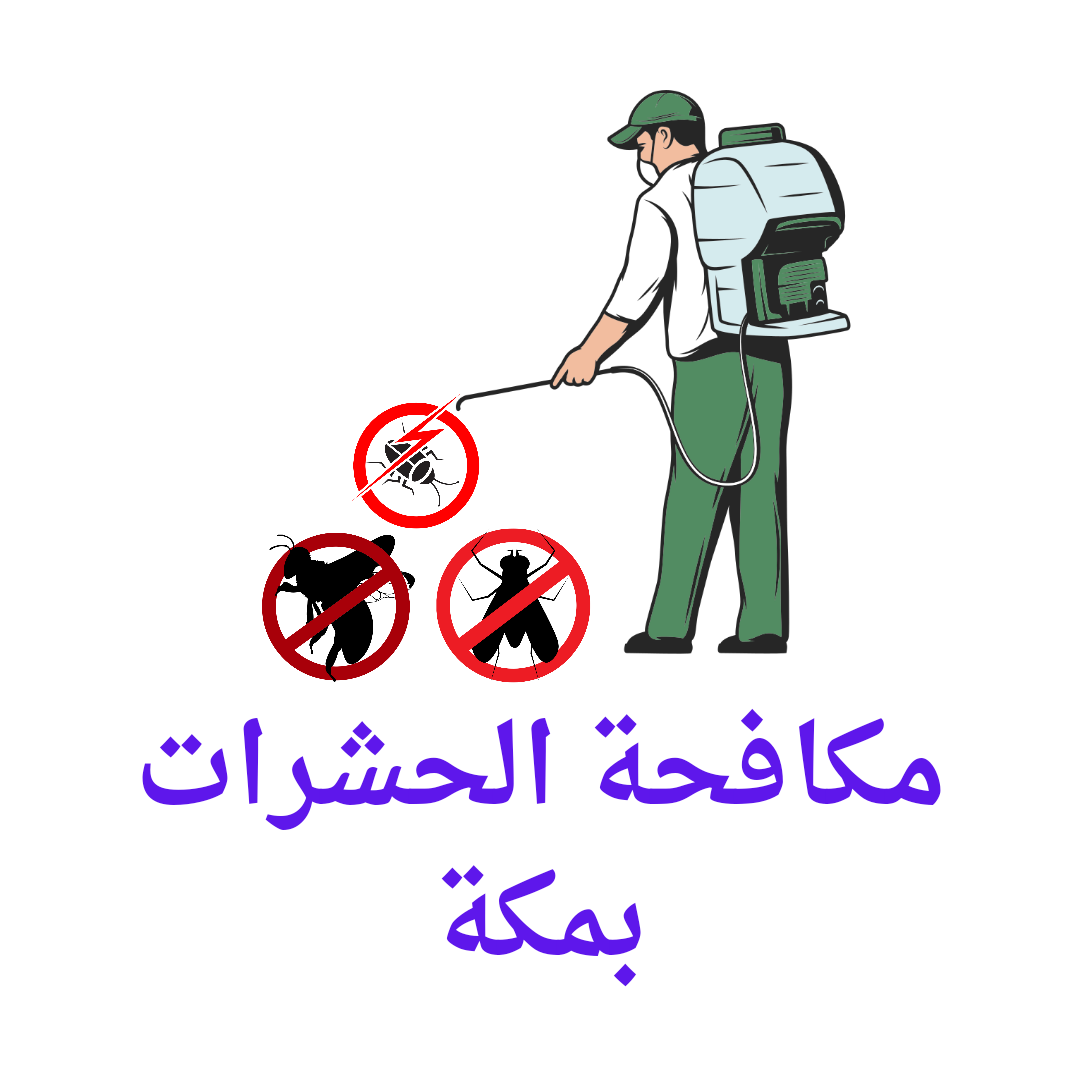  مكافحة حشرات بمكة 